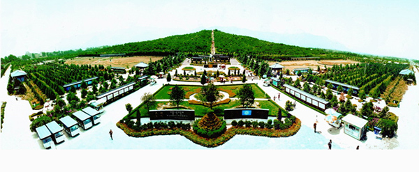 倒計(jì)時(shí)！國(guó)內(nèi)首款景區(qū)機(jī)器人入駐秦始皇陵兵馬俑！